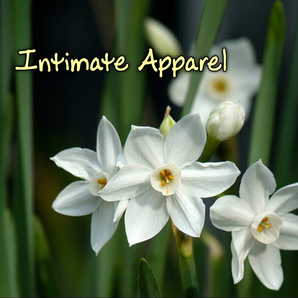Intimate Apparel